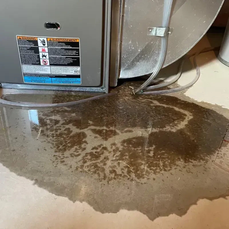 Appliance Leak Cleanup in Dillon, SC